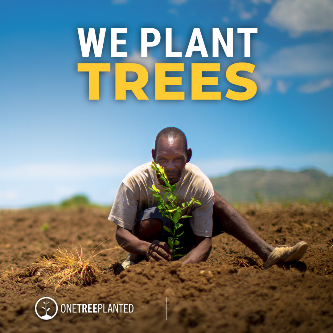 Plant Trees