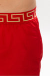 Vesace Red Swim Shorts