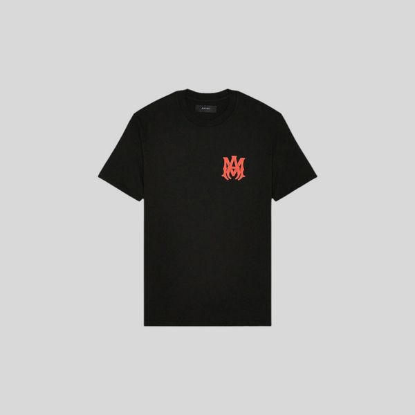 Tシャツ・カットソー AMIRI Amiri Nights Tee Amiri T | The North Face Central Logo crop t-shirt in grey